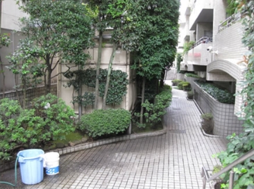 image photo
